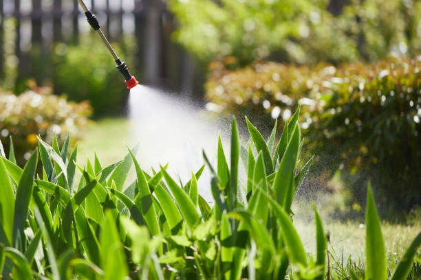 24/7 Emergency Mosquito Control experts in Faxon, PA